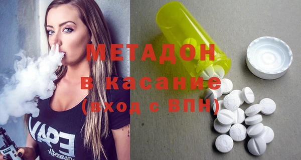 шишки Белокуриха
