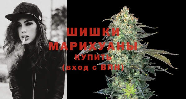 шишки Белокуриха